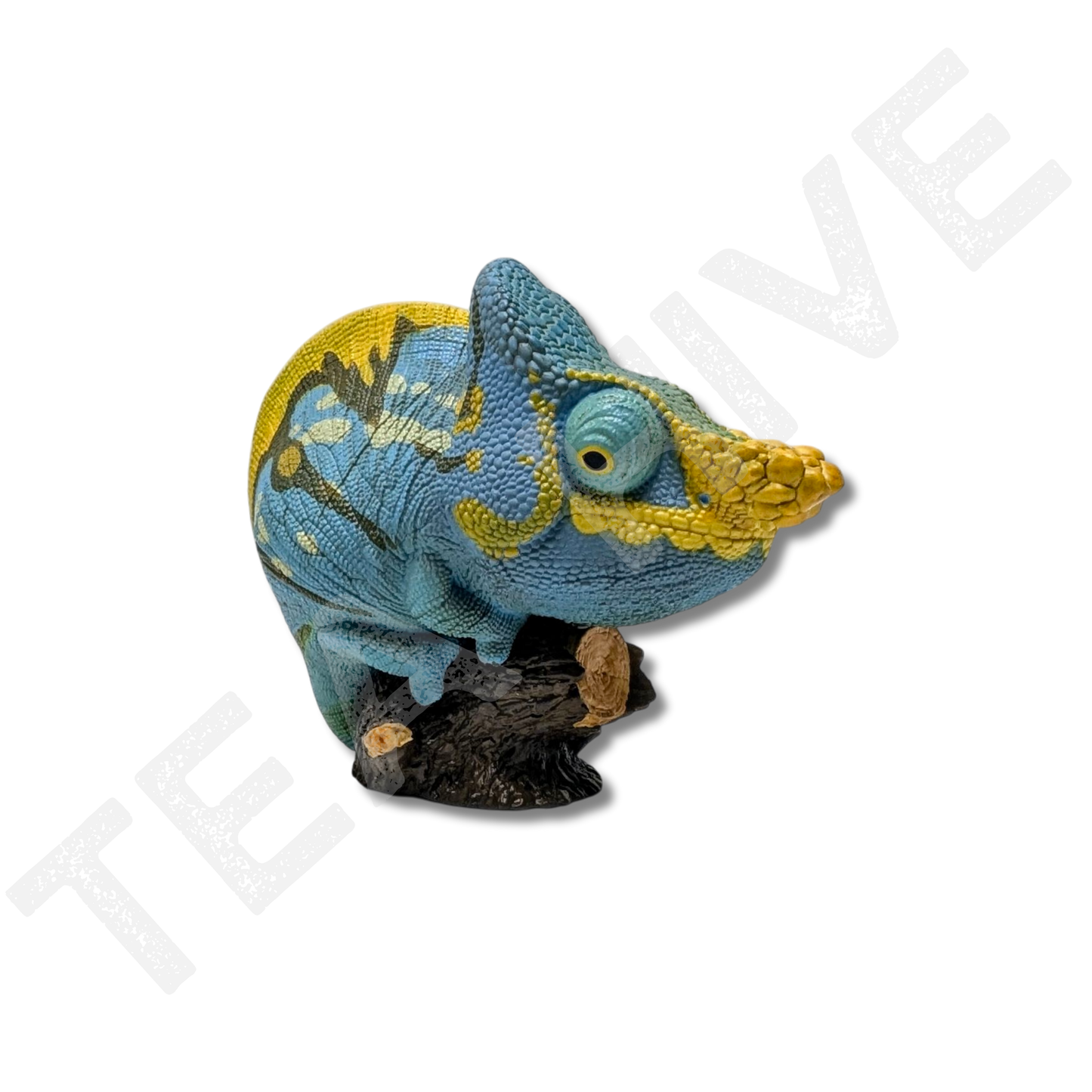 A Series of Laugh & Grow Fat - Chameleon (Calumma Parsonii)
