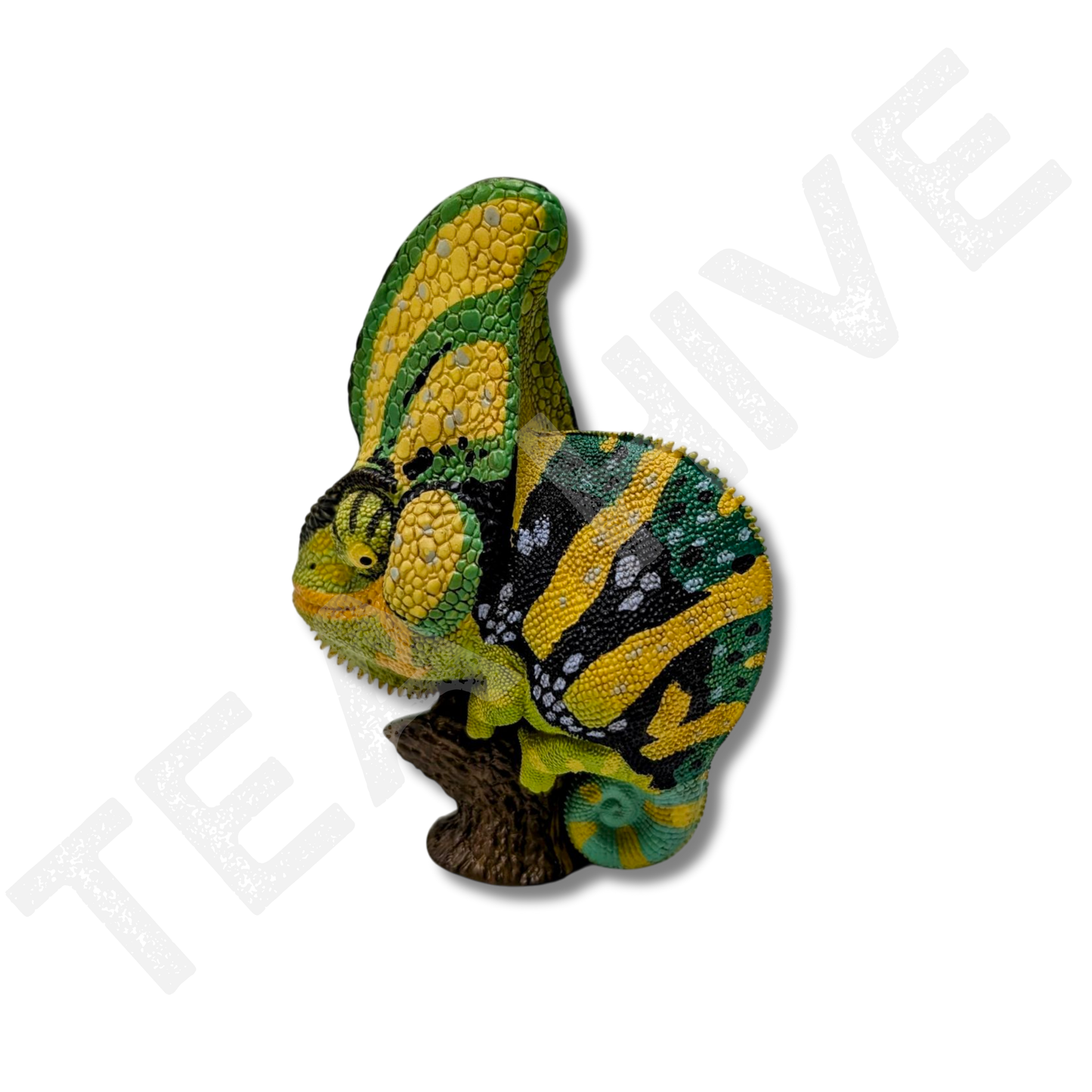 A Series of Laugh & Grow Fat - Chameleon (Chamaeleo Calyptoratus)