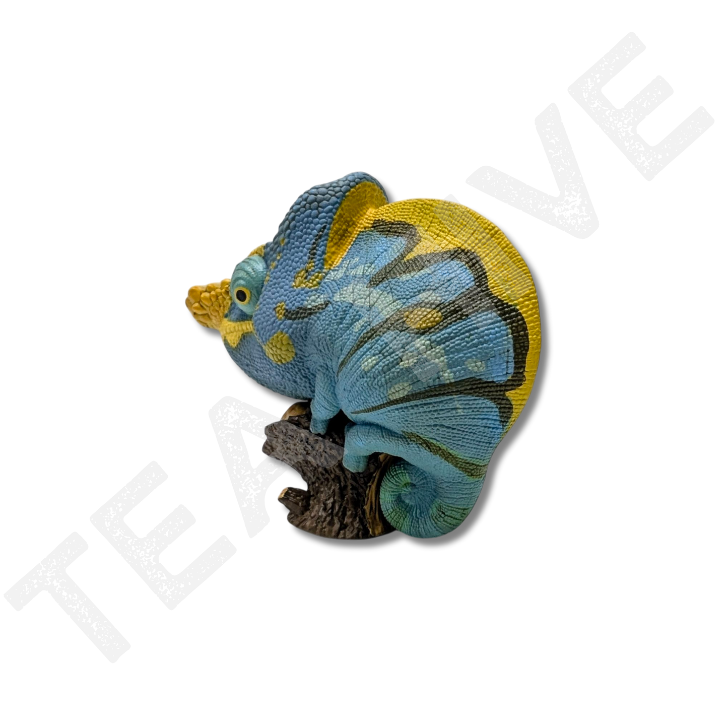 A Series of Laugh & Grow Fat - Chameleon (Calumma Parsonii)