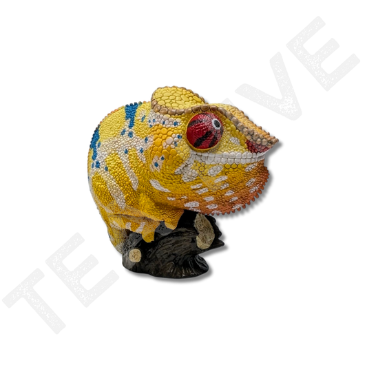 A Series of Laugh & Grow Fat - Chameleon (Furcifer Pardalis)