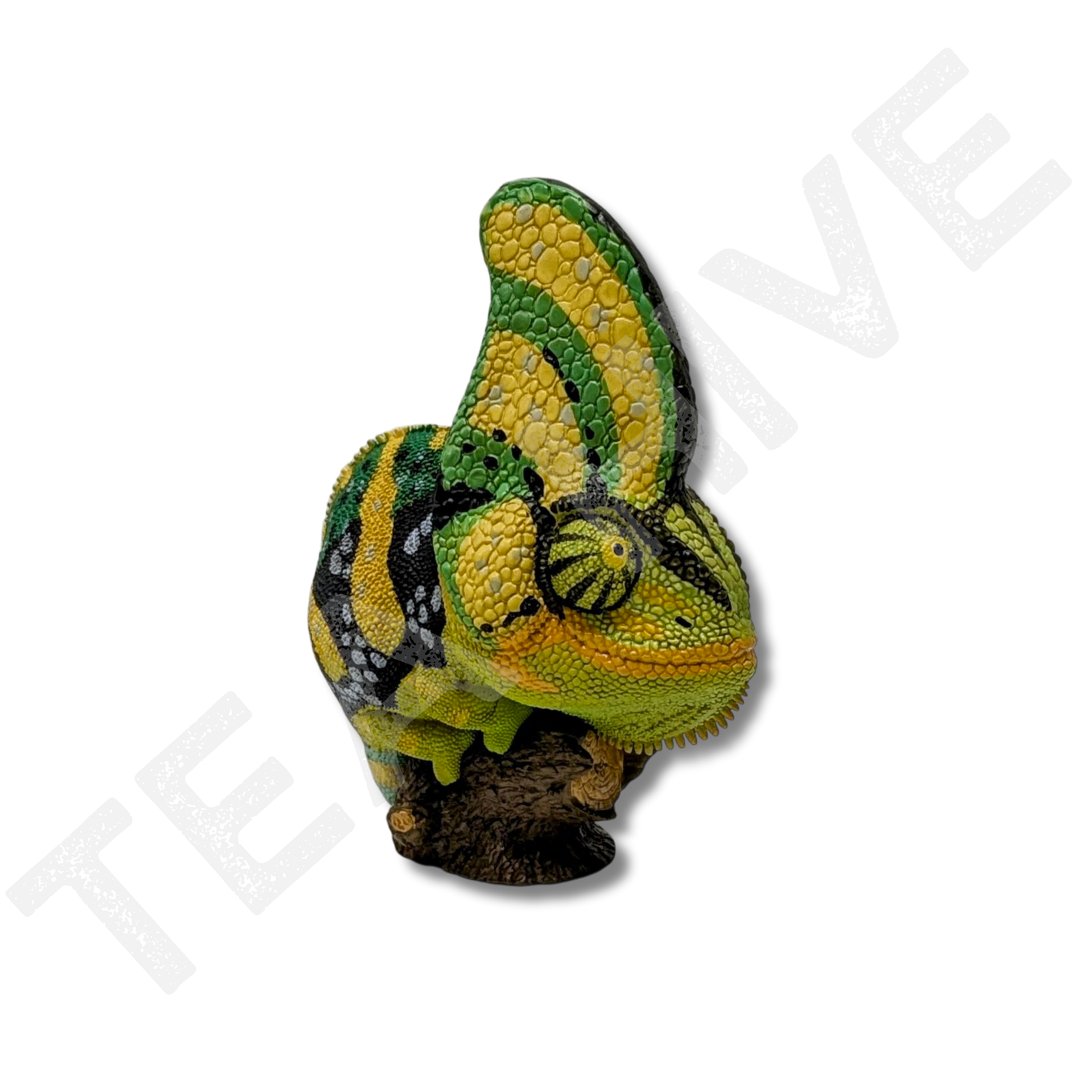 A Series of Laugh & Grow Fat - Chameleon (Chamaeleo Calyptoratus)