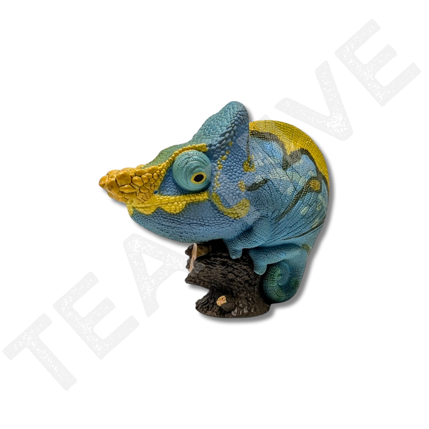 A Series of Laugh & Grow Fat - Chameleon (Calumma Parsonii)