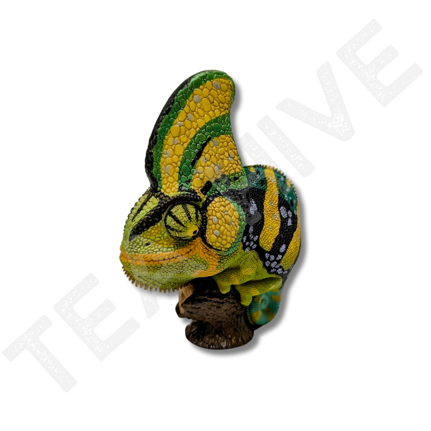 A Series of Laugh & Grow Fat - Chameleon (Chamaeleo Calyptoratus)