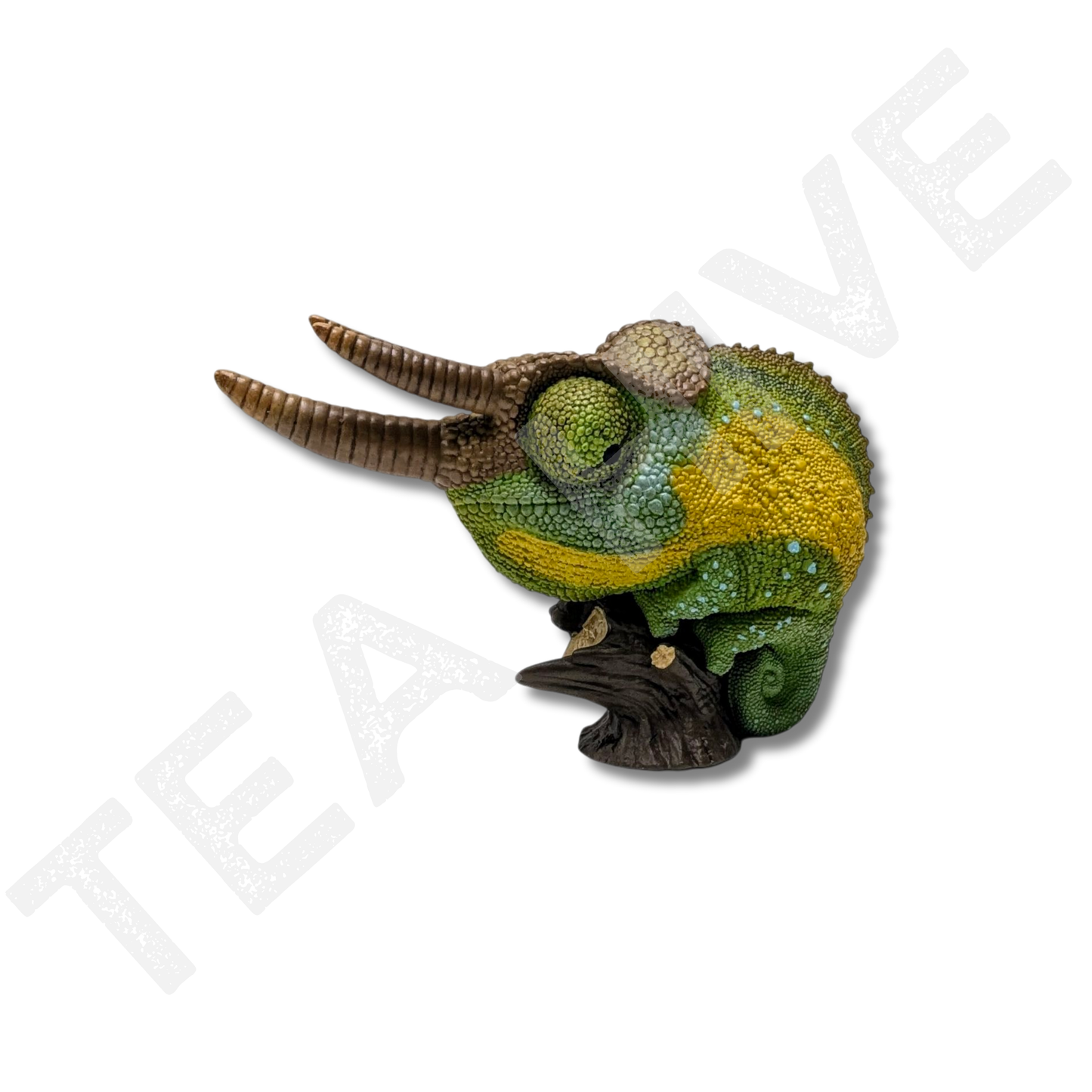 A Series of Laugh & Grow Fat - Chameleon (Trioceros Jacksonii)